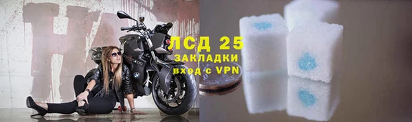 винт Вяземский