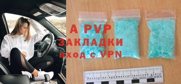 винт Вяземский