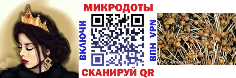 Галлюциногенные грибы мухоморы  наркотики  Севастополь 